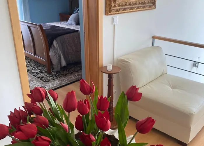 Homestay Vista Do Topo Povoacao (Sao Miguel)